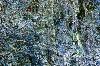 A 316A